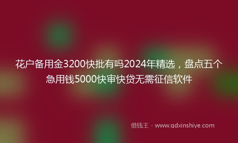 花户备用金3200快批有吗2024年精选，盘点五个急用钱5000快审快贷无需征信软件