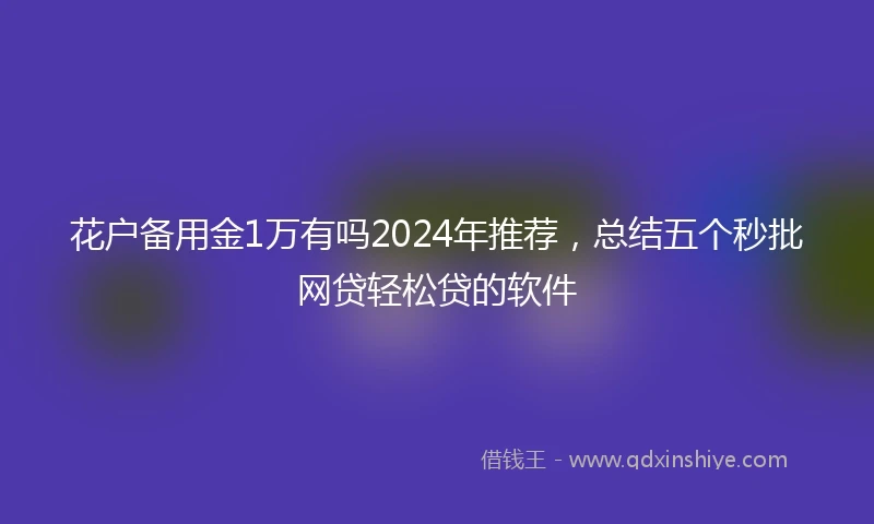 花户备用金1万有吗2024年推荐，总结五个秒批网贷轻松贷的软件