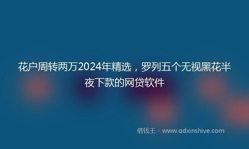 花户周转两万2024年精选，罗列五个无视黑花半夜下款的网贷软件