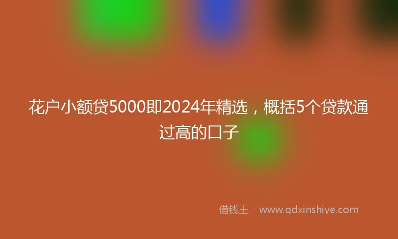 花户小额贷5000即2024年精选，概括5个贷款通过高的口子