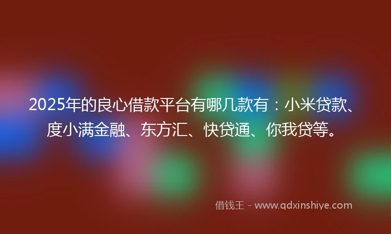 2025年的良心借款平台有哪几款有：小米贷款、度小满金融、东方汇、快贷通、你我贷等。