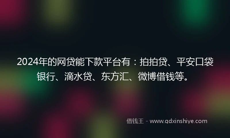 2024年的网贷能下款平台有：拍拍贷、平安口袋银行、滴水贷、东方汇、微博借钱等。