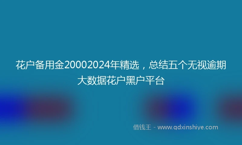 花户备用金20002024年精选，总结五个无视逾期大数据花户黑户平台