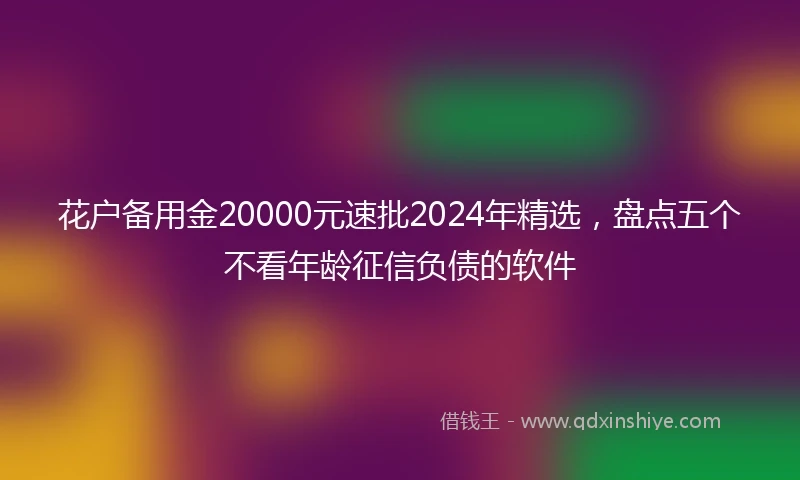花户备用金20000元速批2024年精选，盘点五个不看年龄征信负债的软件