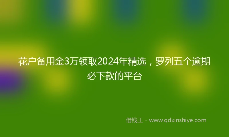 花户备用金3万领取2024年精选，罗列五个逾期必下款的平台