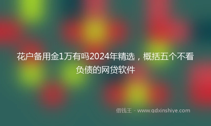 花户备用金1万有吗2024年精选，概括五个不看负债的网贷软件