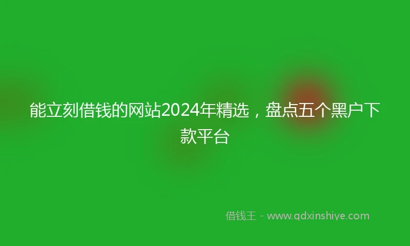 能立刻借钱的网站2024年精选，盘点五个黑户下款平台