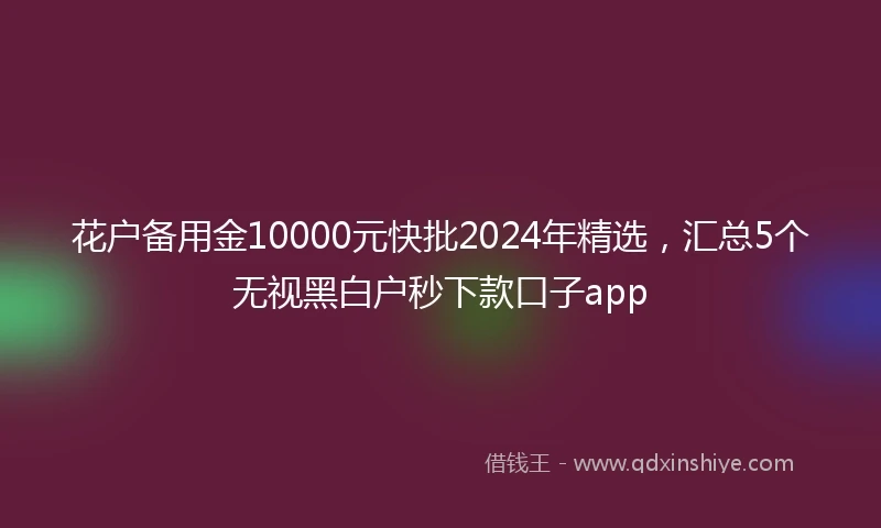 花户备用金10000元快批2024年精选,汇总5个无视黑白户秒下款口子app