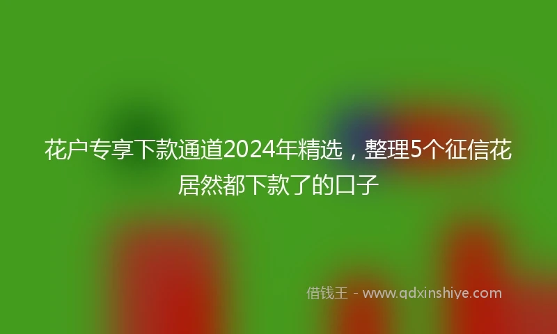 花户专享下款通道2024年精选，整理5个征信花居然都下款了的口子