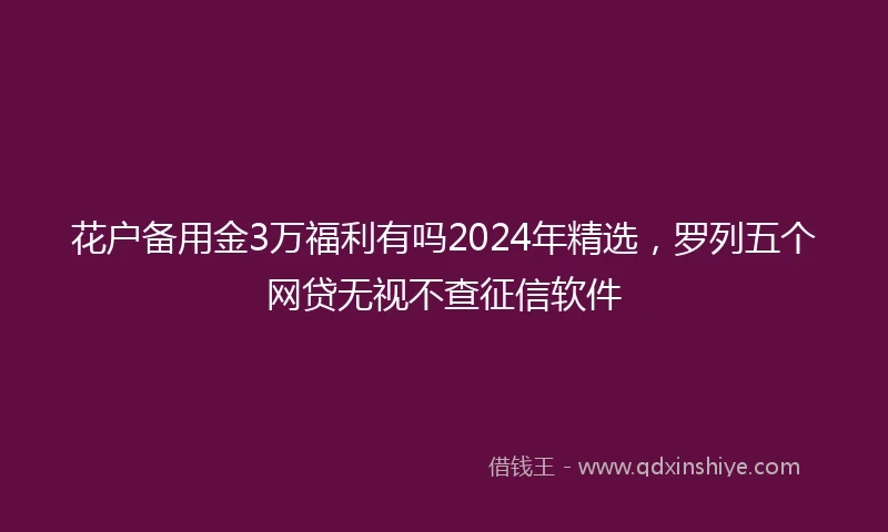 花户备用金3万福利有吗2024年精选，罗列五个网贷无视不查征信软件