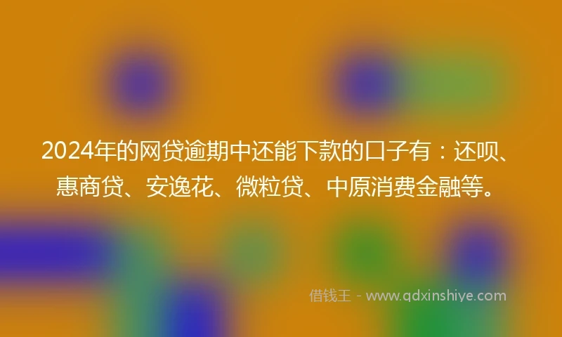 2024年的网贷逾期中还能下款的口子有：还呗、惠商贷、安逸花、微粒贷、中原消费金融等。
