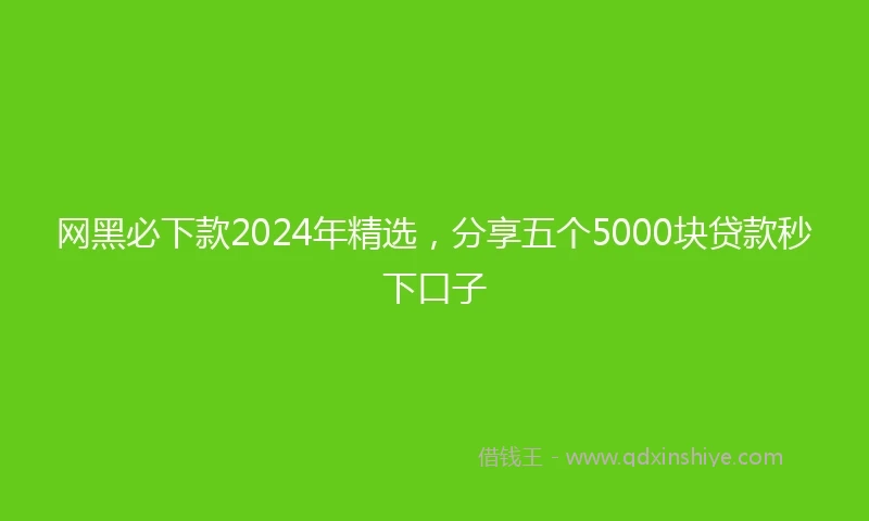 网黑必下款2024年精选，分享五个5000块贷款秒下口子