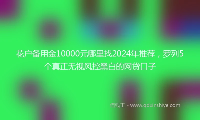 花户备用金10000元哪里找2024年推荐，罗列5个真正无视风控黑白的网贷口子