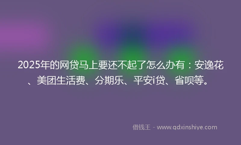 2025年的网贷马上要还不起了怎么办有：安逸花、美团生活费、分期乐、平安i贷、省呗等。