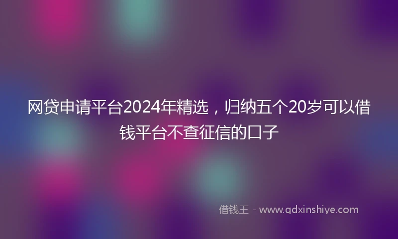 网贷申请平台2024年精选，归纳五个20岁可以借钱平台不查征信的口子