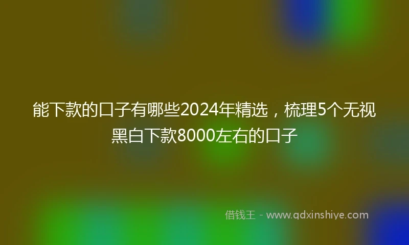 能下款的口子有哪些2024年精选，梳理5个无视黑白下款8000左右的口子
