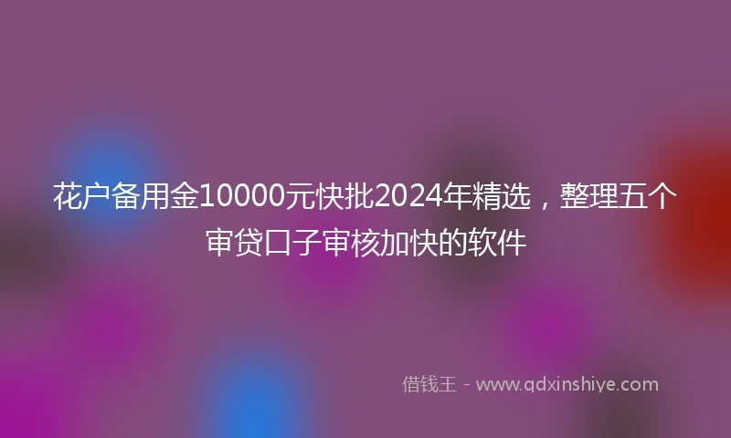 花户备用金10000元快批2024年精选，整理五个审贷口子审核加快的软件