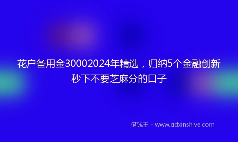 花户备用金30002024年精选，归纳5个金融创新秒下不要芝麻分的口子