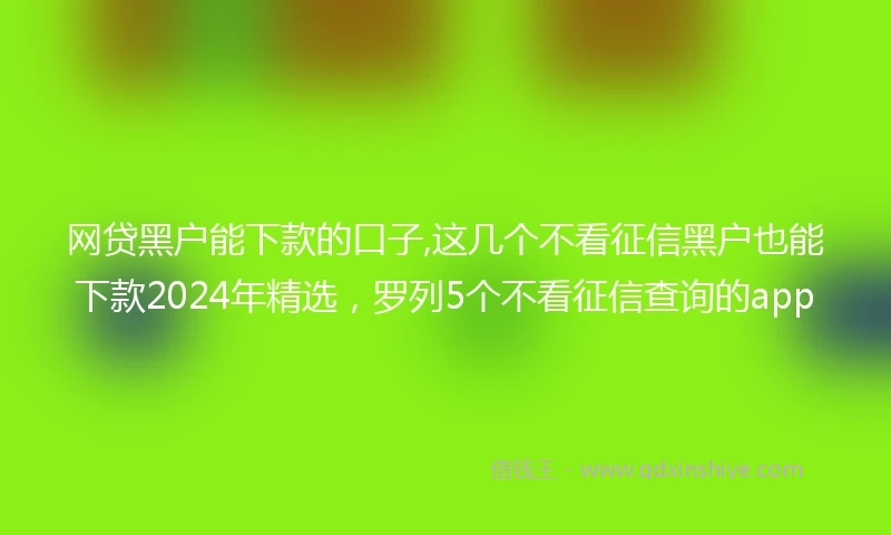 网贷黑户能下款的口子,这几个不看征信黑户也能下款2024年精选，罗列5个不看征信查询的app