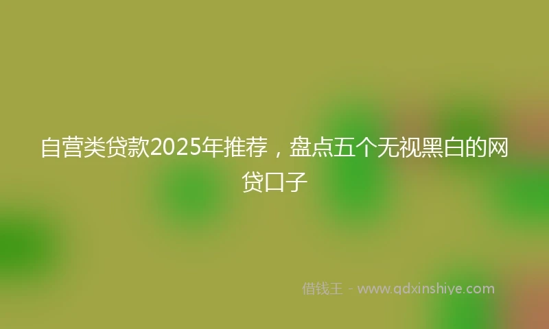 自营类贷款2025年推荐，盘点五个无视黑白的网贷口子