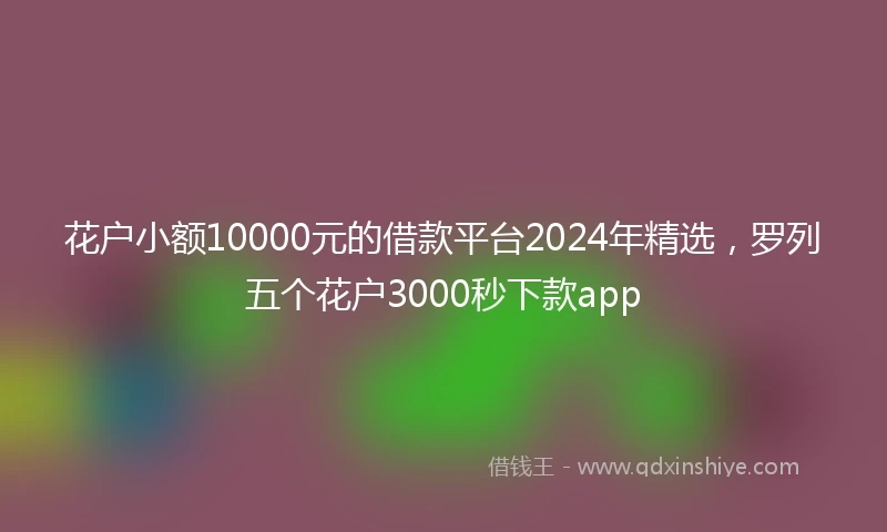 花户小额10000元的借款平台2024年精选，罗列五个花户3000秒下款app