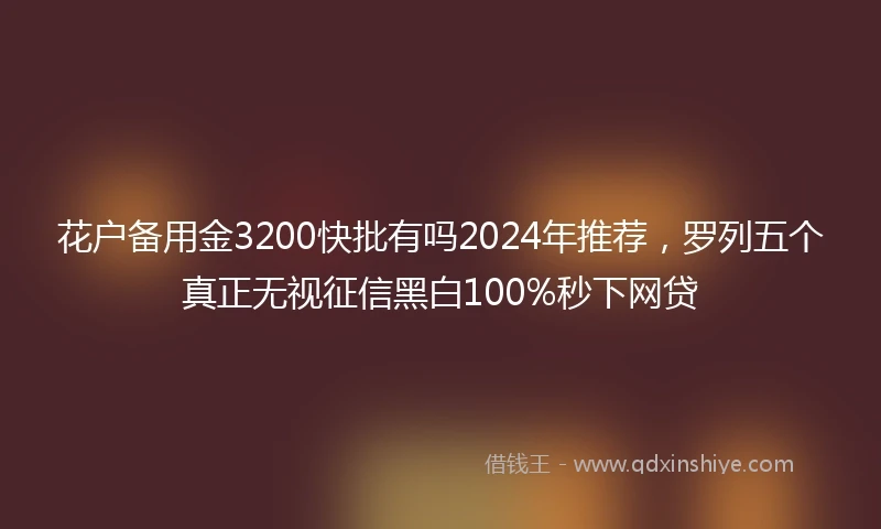 花户备用金3200快批有吗2024年推荐，罗列五个真正无视征信黑白100%秒下网贷