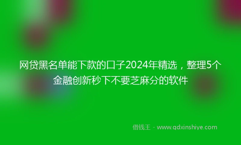 网贷黑名单能下款的口子2024年精选,整理5个金融创新秒下不要芝麻分的软件