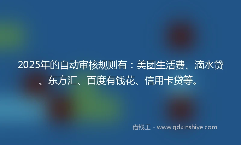 2025年的自动审核规则有：美团生活费、滴水贷、东方汇、百度有钱花、信用卡贷等。