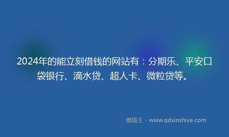 2024年的能立刻借钱的网站有：分期乐、平安口袋银行、滴水贷、超人卡、微粒贷等。