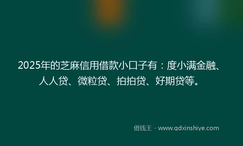 2025年的芝麻信用借款小口子有：度小满金融、人人贷、微粒贷、拍拍贷、好期贷等。