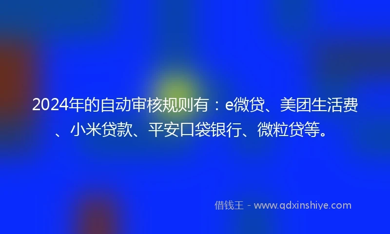 2024年的自动审核规则有：e微贷、美团生活费、小米贷款、平安口袋银行、微粒贷等。