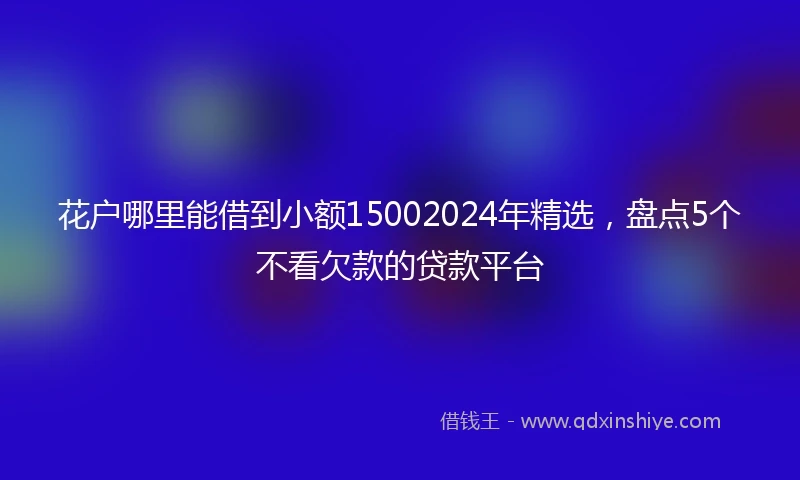 花户哪里能借到小额15002024年精选，盘点5个不看欠款的贷款平台