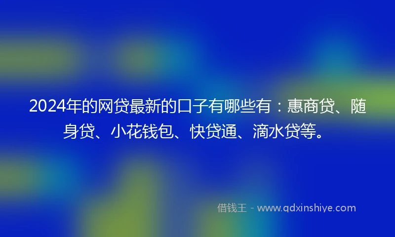 2024年的网贷最新的口子有哪些有：惠商贷、随身贷、小花钱包、快贷通、滴水贷等。