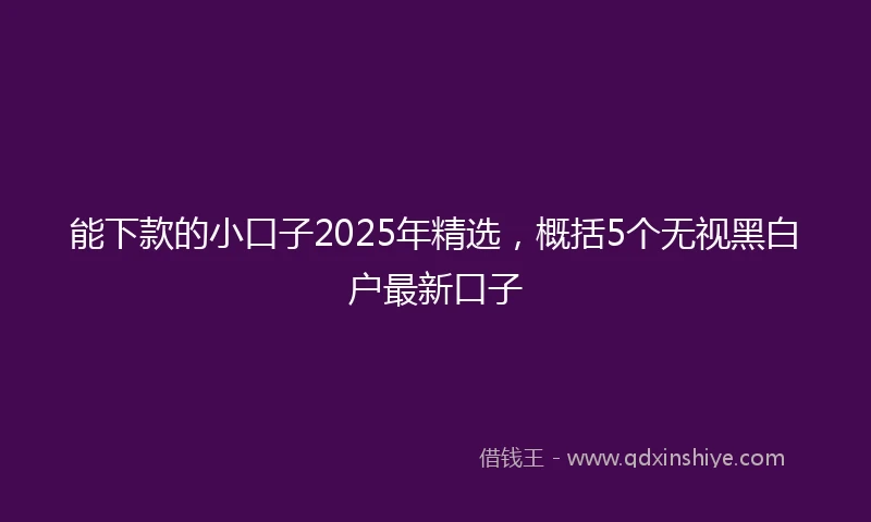 能下款的小口子2025年精选，概括5个无视黑白户最新口子