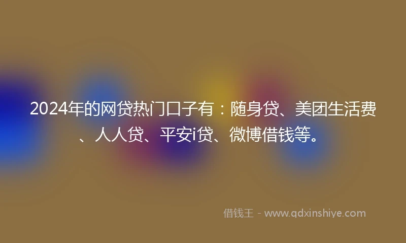 2024年的网贷热门口子有：随身贷、美团生活费、人人贷、平安i贷、微博借钱等。