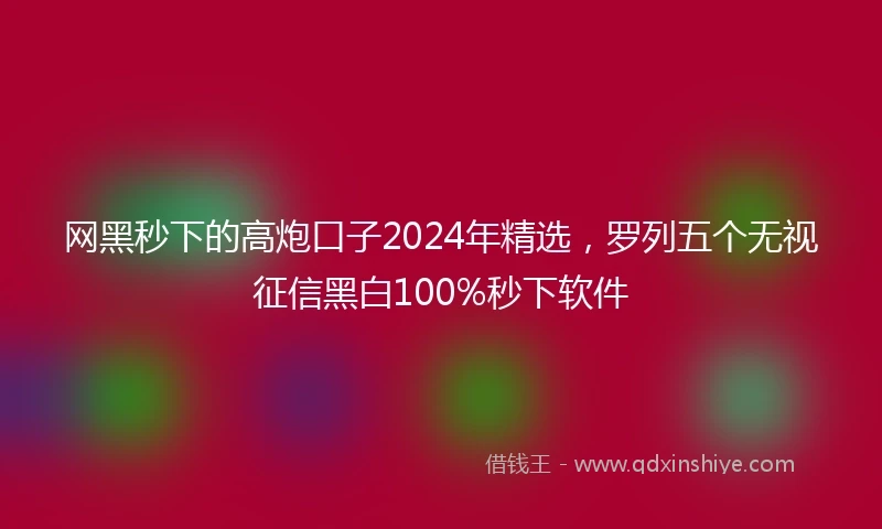 网黑秒下的高炮口子2024年精选，罗列五个无视征信黑白100%秒下软件