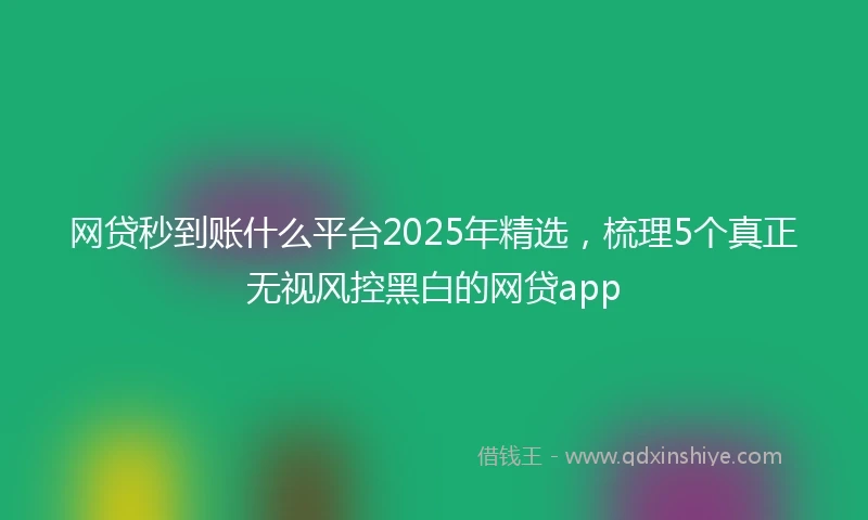网贷秒到账什么平台2025年精选，梳理5个真正无视风控黑白的网贷app