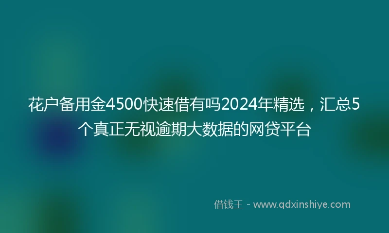 花户备用金4500快速借有吗2024年精选，汇总5个真正无视逾期大数据的网贷平台
