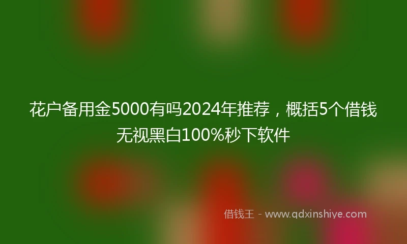 花户备用金5000有吗2024年推荐，概括5个借钱无视黑白100%秒下软件