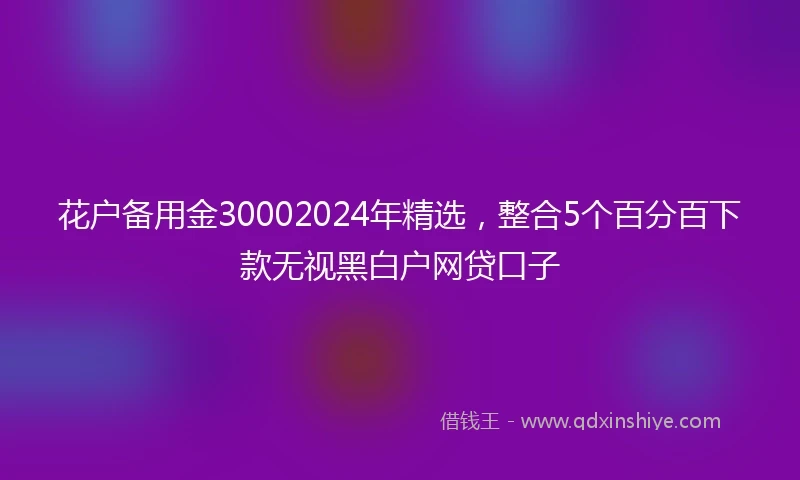 花户备用金30002024年精选，整合5个百分百下款无视黑白户网贷口子