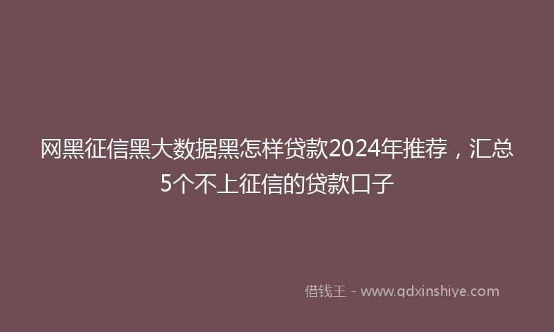 网黑征信黑大数据黑怎样贷款2024年推荐，汇总5个不上征信的贷款口子