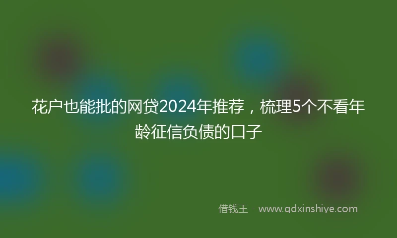 花户也能批的网贷2024年推荐,梳理5个不看年龄征信负债的口子