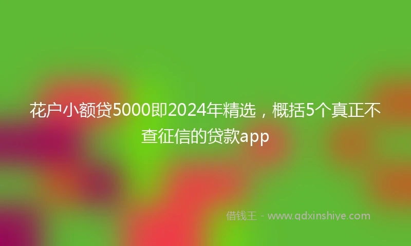 花户小额贷5000即2024年精选，概括5个真正不查征信的贷款app