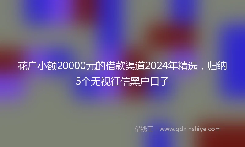 花户小额20000元的借款渠道2024年精选，归纳5个无视征信黑户口子