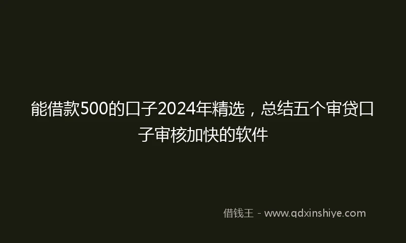 能借款500的口子2024年精选，总结五个审贷口子审核加快的软件