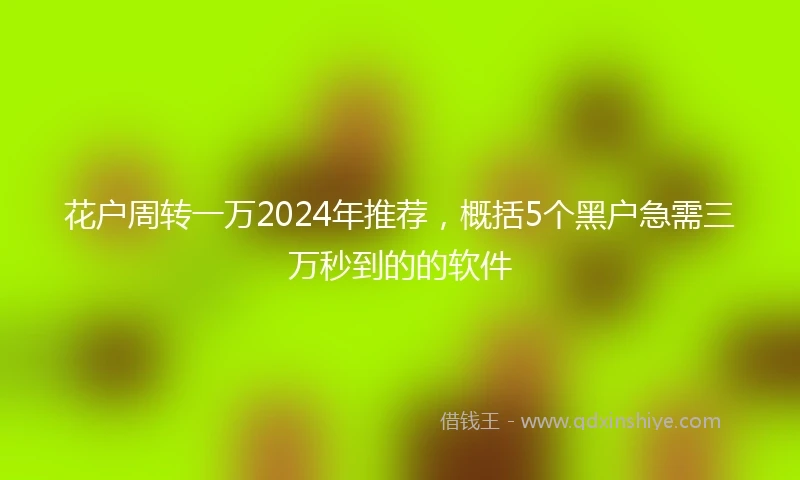 花户周转一万2024年推荐，概括5个黑户急需三万秒到的的软件