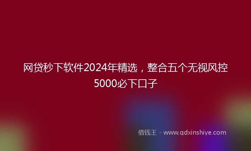 网贷秒下软件2024年精选，整合五个无视风控5000必下口子