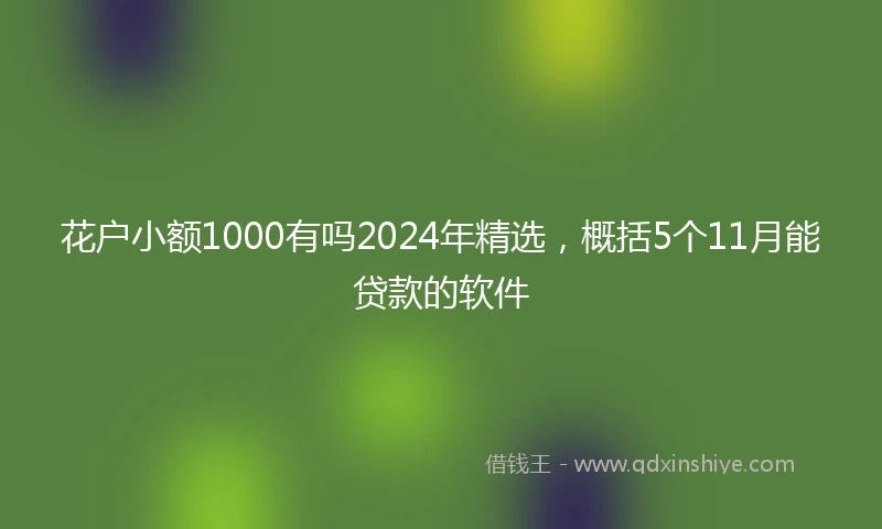 花户小额1000有吗2024年精选,概括5个11月能贷款的软件