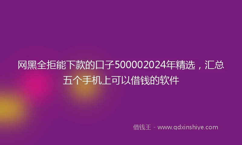 网黑全拒能下款的口子500002024年精选，汇总五个手机上可以借钱的软件
