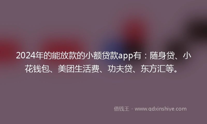 2024年的能放款的小额贷款app有：随身贷、小花钱包、美团生活费、功夫贷、东方汇等。